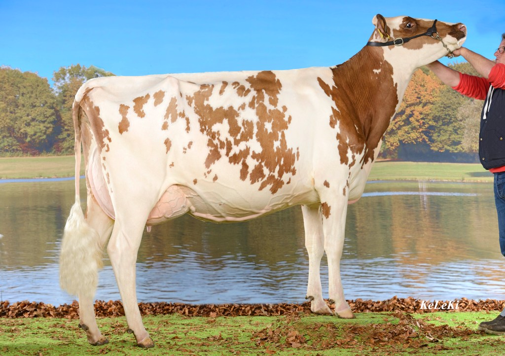 ITALIA_BaurItaliaIrvana