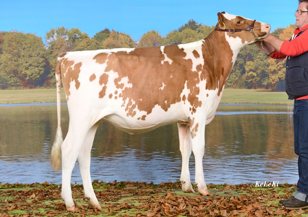 ITALIA_La-Maulaz-ITALIA-Paloma-Red