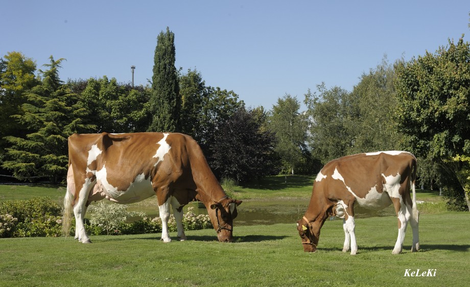 Italia-INDIANA-e1359759493219